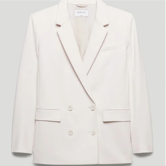 Aritzia Jackets & Blazers - Aritzia Babaton Watson Blazer